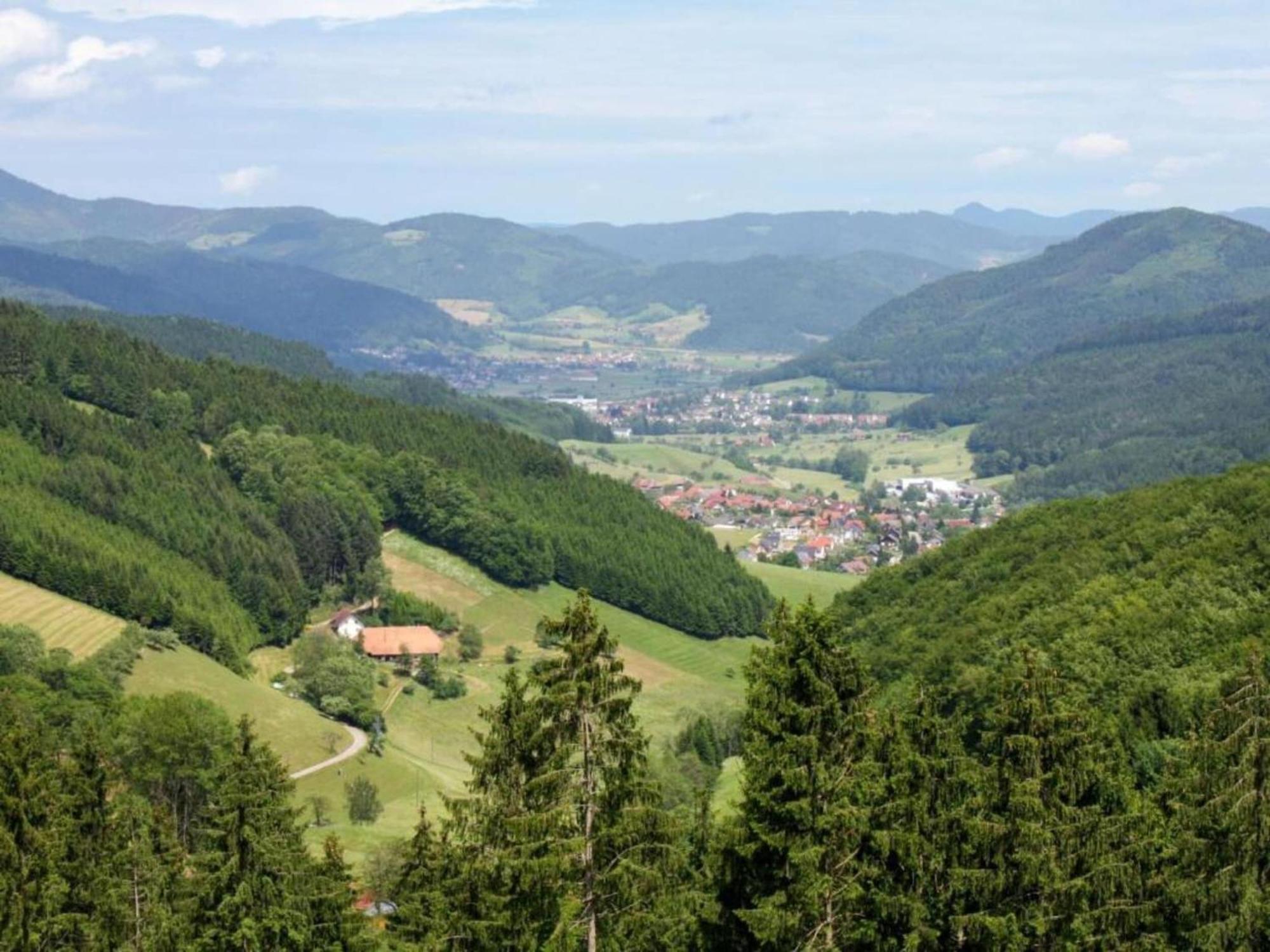 Lovely Apartment In The Black Forest Villingen-Schwenningen Eksteriør billede