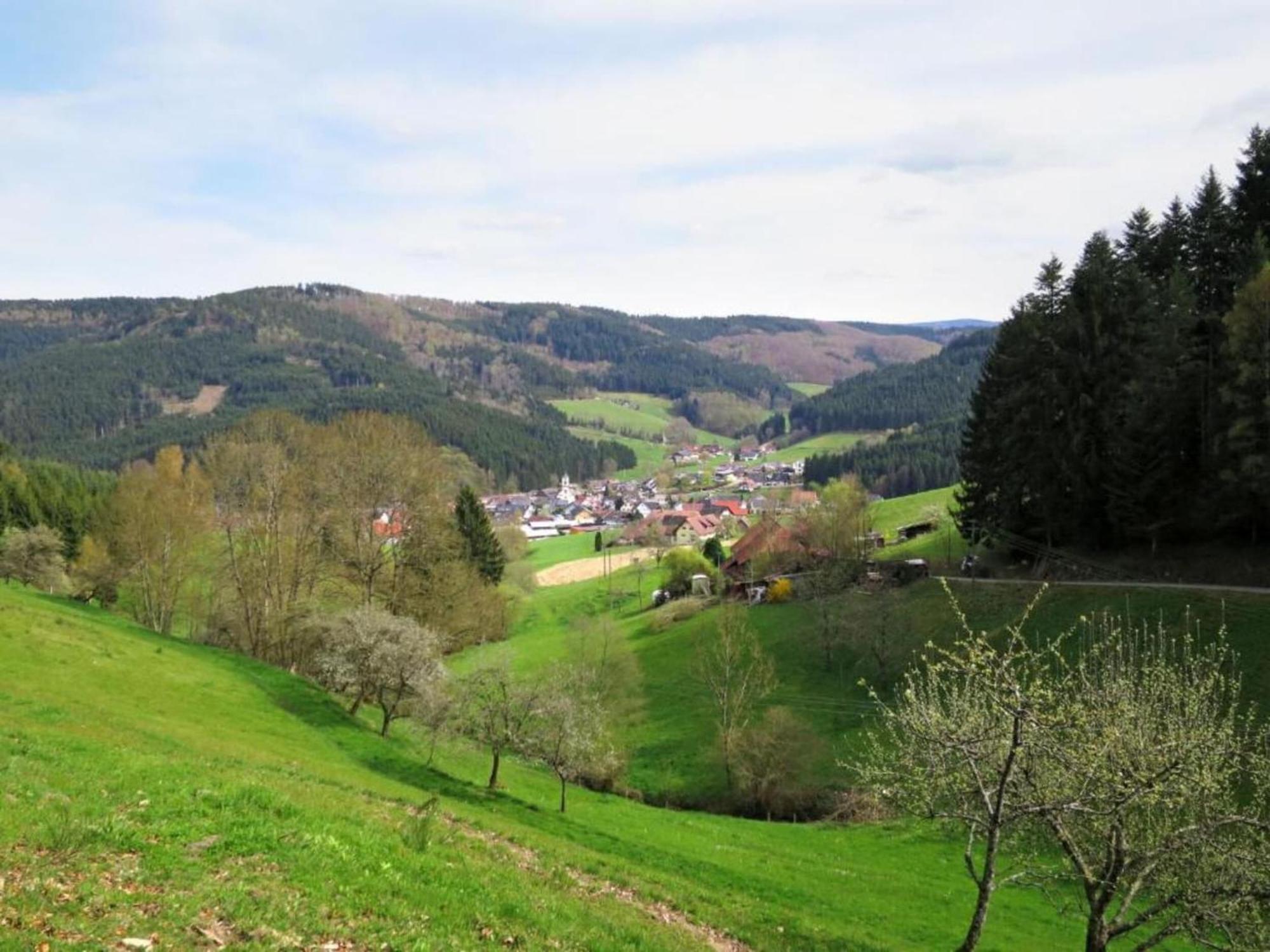 Lovely Apartment In The Black Forest Villingen-Schwenningen Eksteriør billede