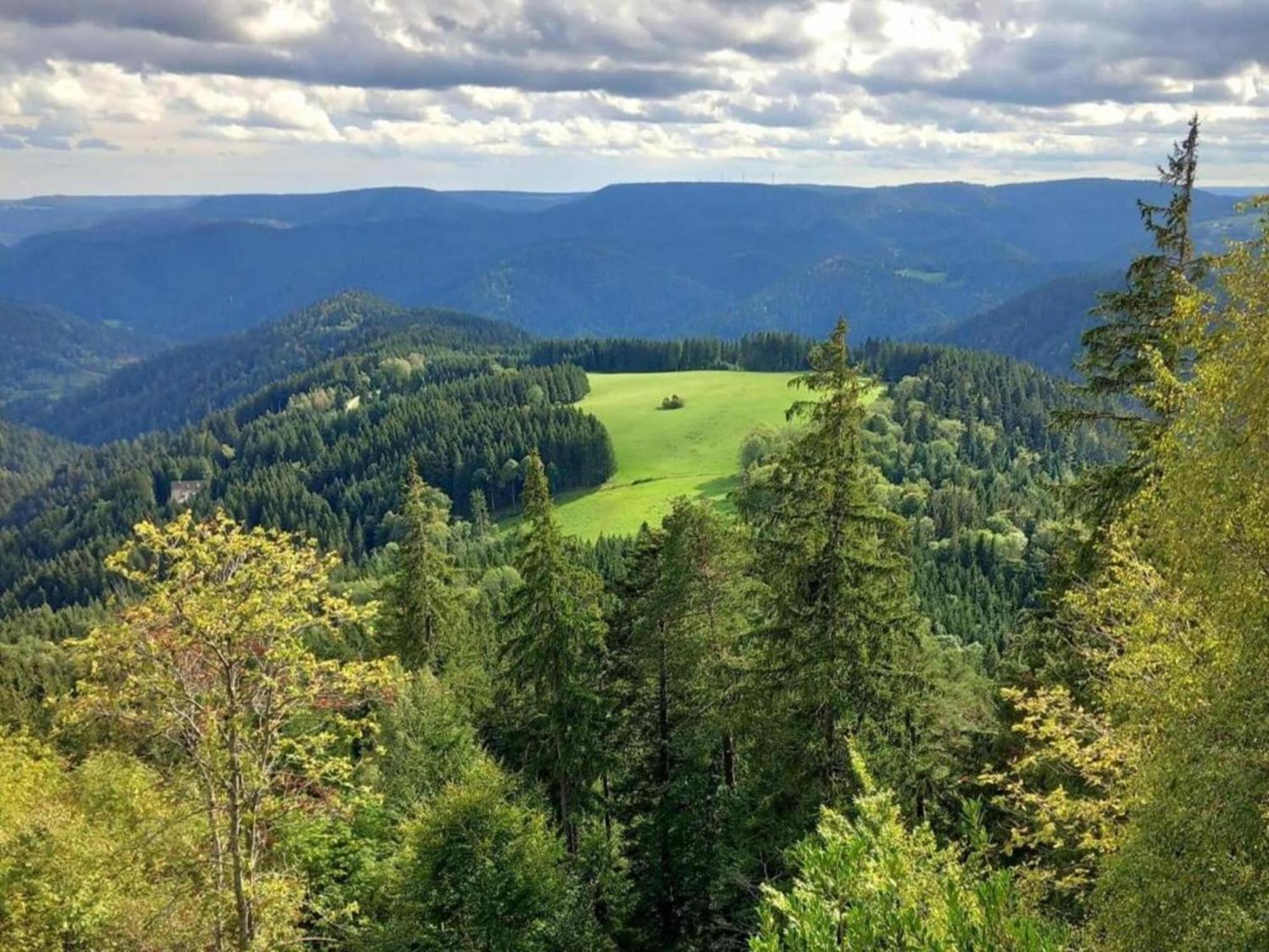 Lovely Apartment In The Black Forest Villingen-Schwenningen Eksteriør billede